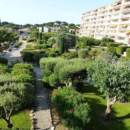 Soleil Du Preconil *