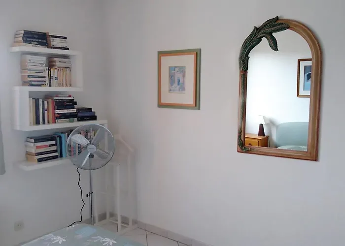 Soleil Du Preconil 생트막시메